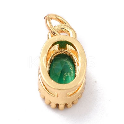 Real 18K Gold Plated Brass Inlaid Cubic Zirconia Charms ZIRC-L100-079G-05-1