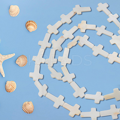 2 Strands Natural Freshwater Shell Beads Strands BSHE-BC0001-11-1