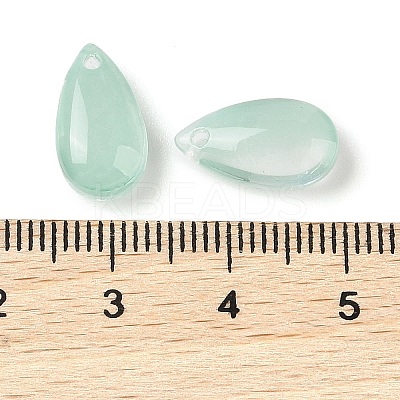 Transparent Glass Charms LS-GLAA-U002-01A-1