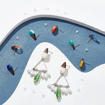 12 Pairs 12 Colors Transparent & Opaque Resin & Walnut Wood Stud Earring RESI-FH0001-42-1