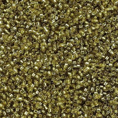MIYUKI Delica Beads X-SEED-J020-DB2164-1