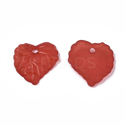 Transparent Acrylic Pendants TACR-S157-01H-1