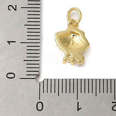 Rack Plating Brass Micro Pave Cubic Zirconia Charms KK-P279-15G-1