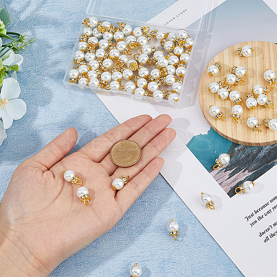 80Pcs Glass Pearl Pendants PALLOY-FH00016-1