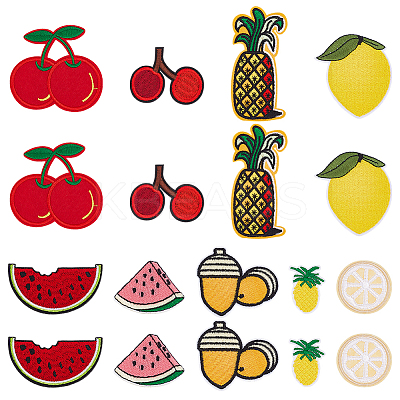 Fruit Computerized Embroidery Cloth Iron on/Sew on Patches DIY-WH0656-32-1