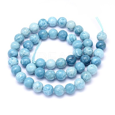 Natural Gemstone Beads Strands G-L367-01-10mm-1