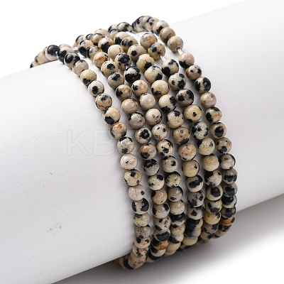 Natural Dalmatian Jasper Beads Strands G-Z116-A10-3mm-1