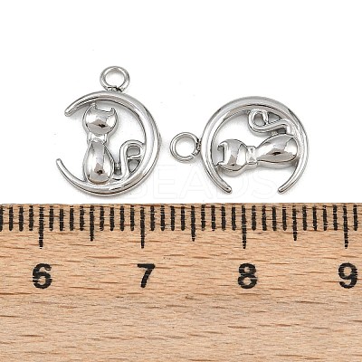 304 Stainless Steel Charms STAS-H242-01P-05-1