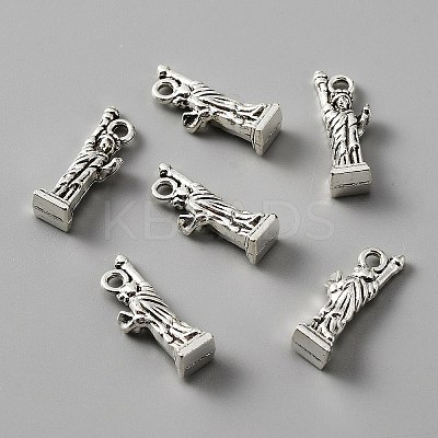 Tibetan Style Alloy Charm LS-FIND-CJC0006-22AS-1