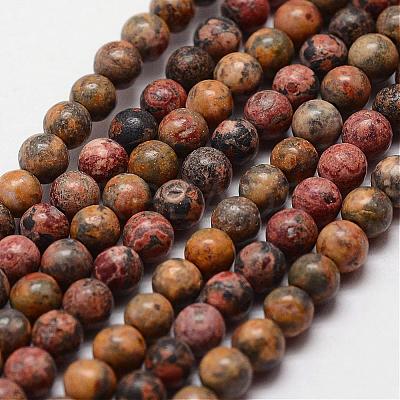 Natural Leopard Skin Jasper Beads Strands G-N0181-02-4mm-1
