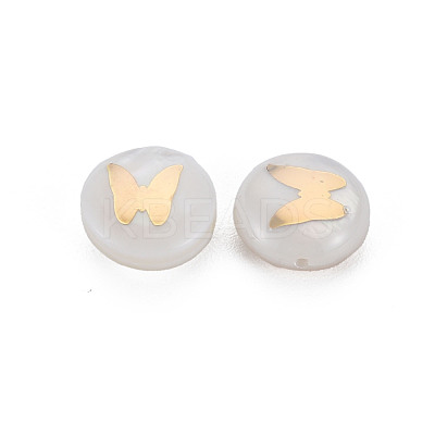 Natural Freshwater Shell Beads SHEL-S278-064-1