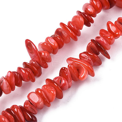 Natural Freshwater Shell Beads Strands SHEL-S278-071-1