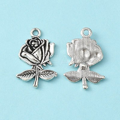 Tibetan Style Alloy Pendants TIBEP-EA155YKG-AS-LF-1