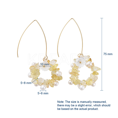 Chip Natural & Synthetic Gemstone Dangle Earrings EJEW-JE03977-1