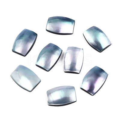 Natural Turbo Cornulus/Top Shells Cabochons SSHEL-N003-153A-1