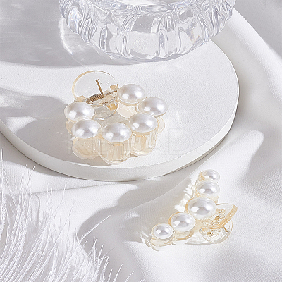 2Pcs 2 Styles Resin Claw Hair Clip for Girls Women PHAR-LP0001-14-1