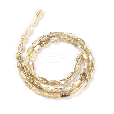 Natural Freshwater Shell Beads Strands X-BSHE-G036-03-1