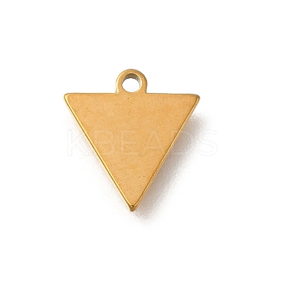 304 Stainless Steel Charms STAS-S144-01G-D-1