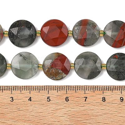 Natural Bloodstone Beads Strands G-A292-A09-01-1