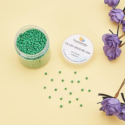 8/0 Round Glass Seed Beads SEED-PH0005-07-1