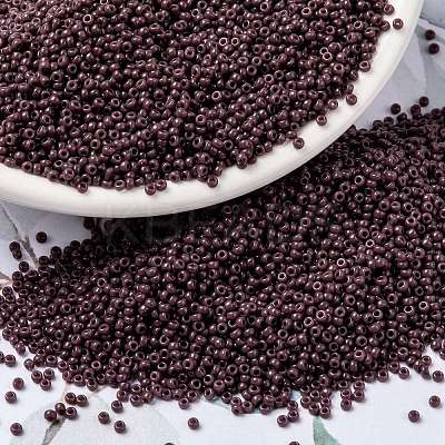 MIYUKI Round Rocailles Beads X-SEED-G009-RR0497-1