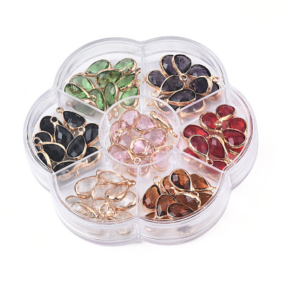 K9 Glass Charms GLAA-N038-21-1