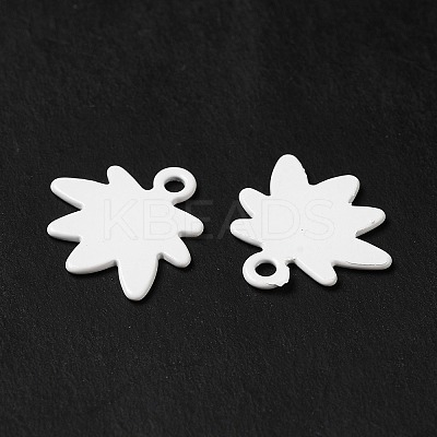 Spray Painted 201 Stainless Steel Charms LS-STAS-I672-17B-1