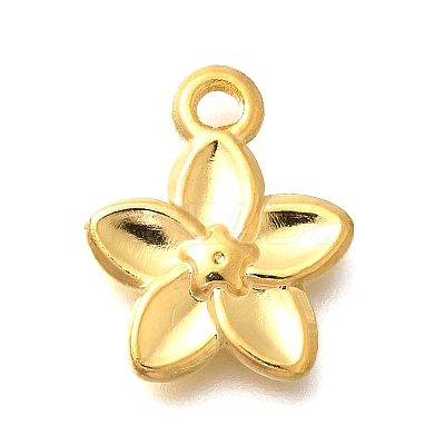 304 Stainless Steel Pendants LS-STAS-P381-10G-1