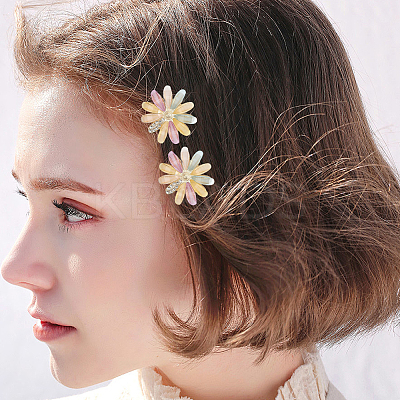 2 Bags Alloy & Resin Hair Clips Kits PHAR-SC0001-004-1