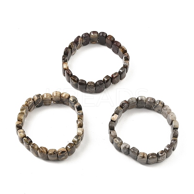 Natural Mexican Agate Oval Stretch Bracelets BJEW-D036-03-1