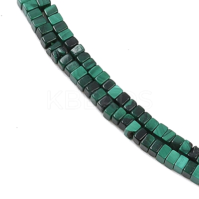 Natural Malachitel Beads Strands G-K399-B05-01-1