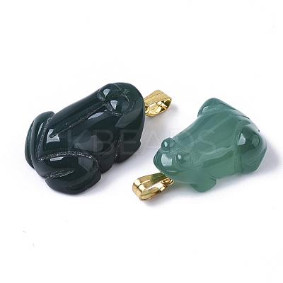 Natural Agate Pendants G-R459-007-1