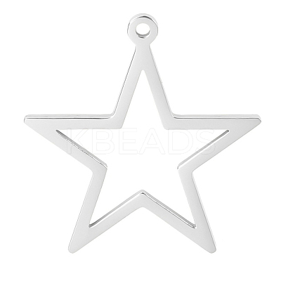 304 Stainless Steel Pendants PW-WG60056-01-1