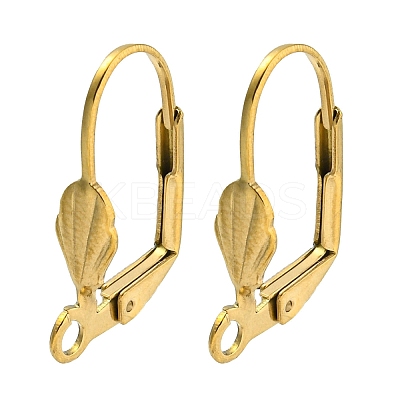 Ion Plating(IP) 304 Stainless Steel Leverback Earring Findings STAS-P360-02C-G-1