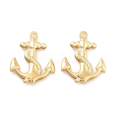 316 Surgical Stainless Steel Pendants STAS-B072-03G-04-1