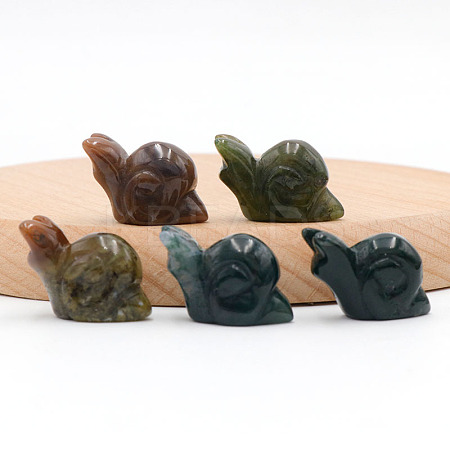 Natural Indian Agate Carved Healing Snail Figurines PW-WG73310-09-1
