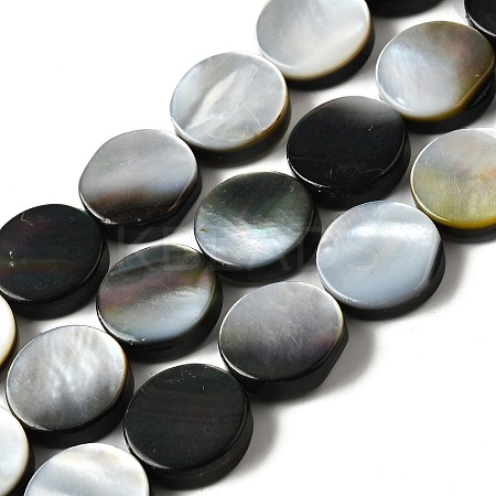 Natural Black Lip Shell Beads Strands BSHE-D300-05-12mm-1