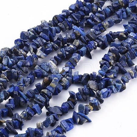 Natural Lapis Lazuli Chip Bead Strands G-M205-14A-1
