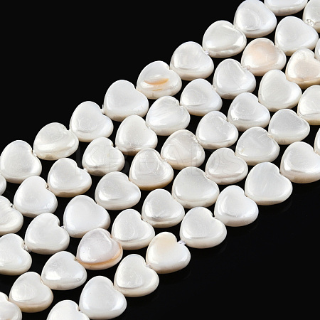 Natural Freshwater Shell Beads Strands SHEL-N026-220A-1