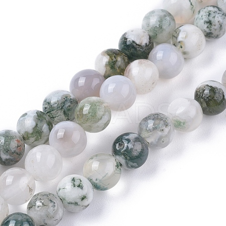 Natural Tree Agate Beads Strands X-G-L533-22-1