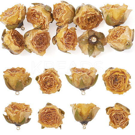 10Pcs Preserved Rose Pendants KY-TA0001-59D-1
