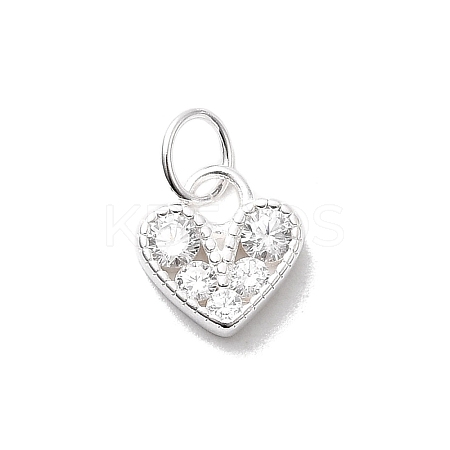 925 Sterling Silver Micro Pave Cubic Zirconia Charms STER-D309-01D-S-1