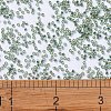MIYUKI Delica Beads SEED-MY11-DB2165-4