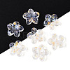 Baking Paint Transparent Glass Beads DGLA-N014-08A-01-1