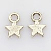 Tibetan Style Alloy Charms LS-LF0790Y-NF-1
