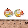 3D Lampwork & Brass Core European Beads LAMP-Q042-01D-3