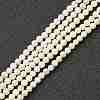 Nrtutal Magnesite Beads Strands G-L575-01A-1