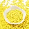 Baking Paint Glass Seed Beads SEED-H002-I-A532-2