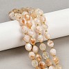Natural Citrine(Heated) Beads Strands G-N342-149I-22-1