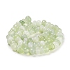 Natural New Jade Beads Strands G-G053-C02-01-3